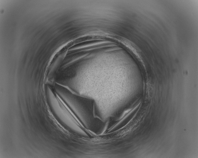 X0000082680791200702091631