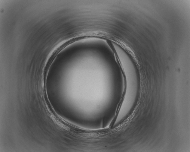 X0000082680792200702091631