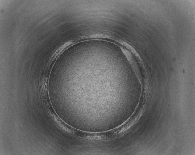 X0000082680793200702091631