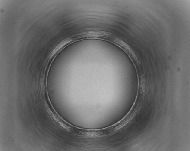 X0000082680794200702091631