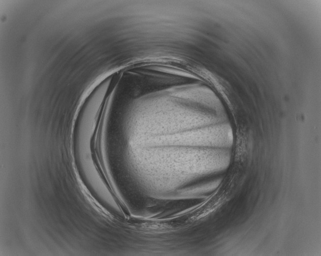 X0000082680795200702091631