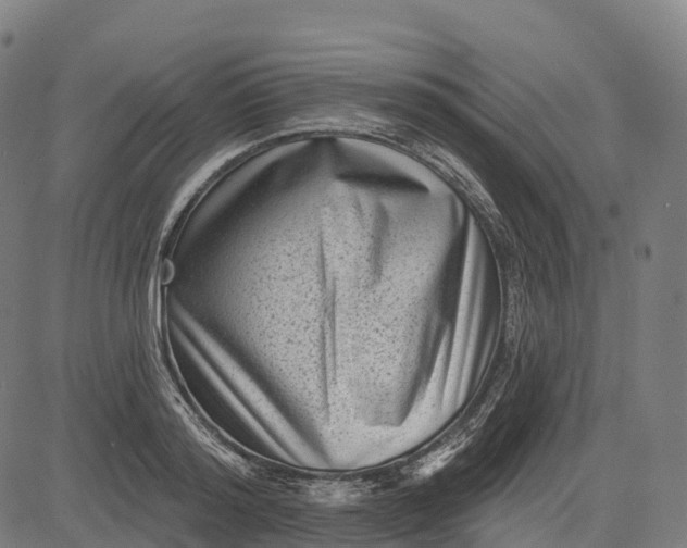 X0000082680796200702091631