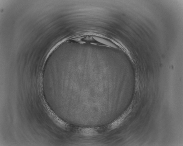 X0000082680798200702091631