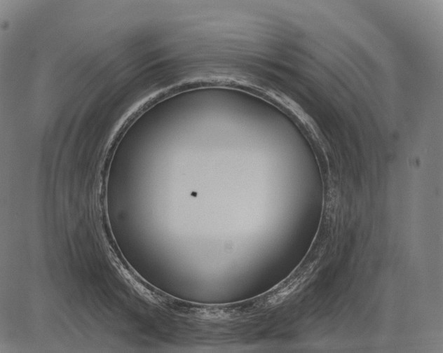 X0000082680799200702091631