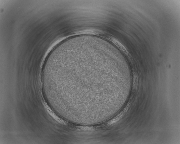 X0000082680800200702091631