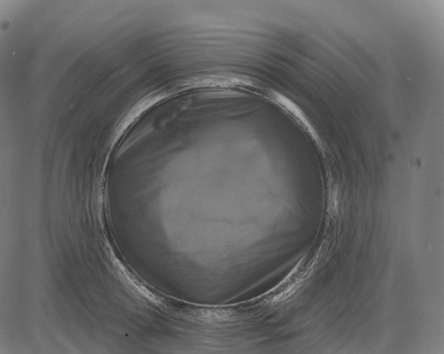 X0000082680802200702091631