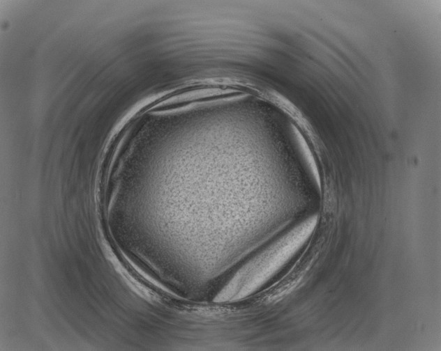 X0000082680803200702091631