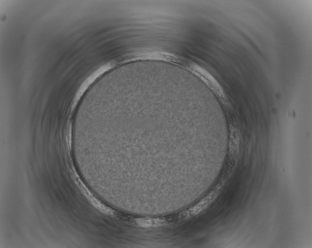 X0000082680804200702091631