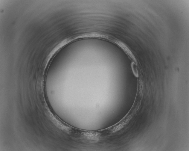 X0000082680805200702091631