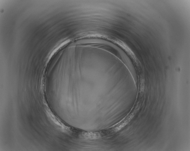 X0000082680806200702091631