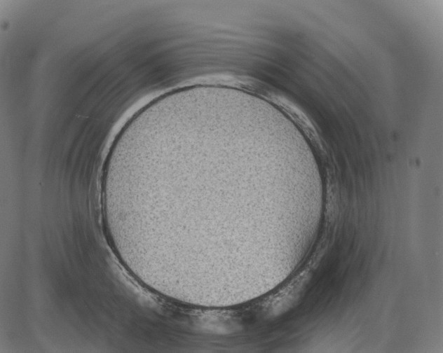 X0000082680808200702091631