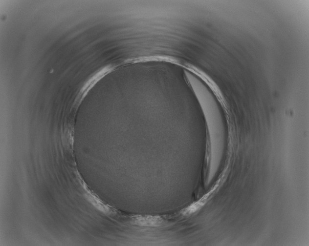 X0000082680809200702091631