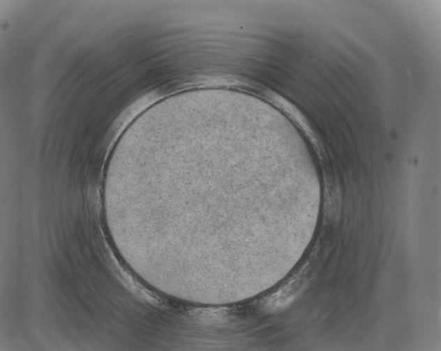 X0000082680810200702091631