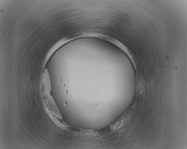 X0000082680811200702091631