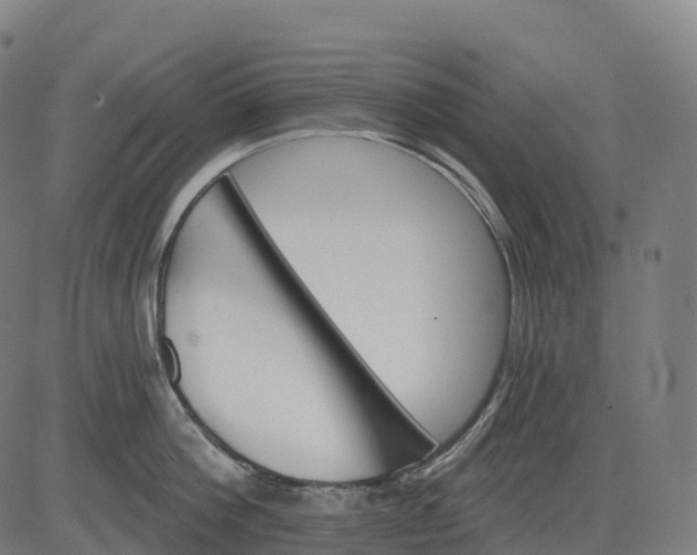 X0000082680812200702091631