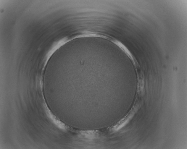 X0000082680813200702091631