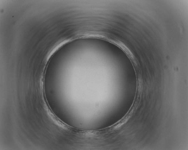 X0000082680814200702091631