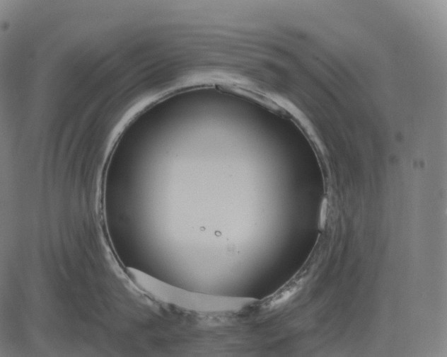 X0000082680815200702091631