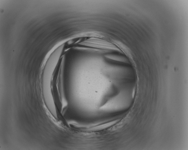 X0000082680816200702091631