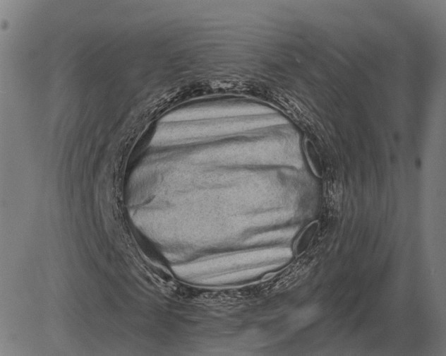 X0000082680817200702091630