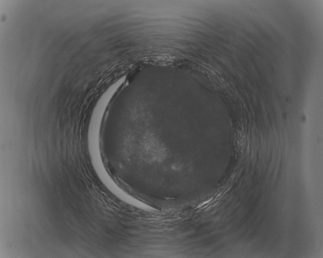 X0000082680818200702091630