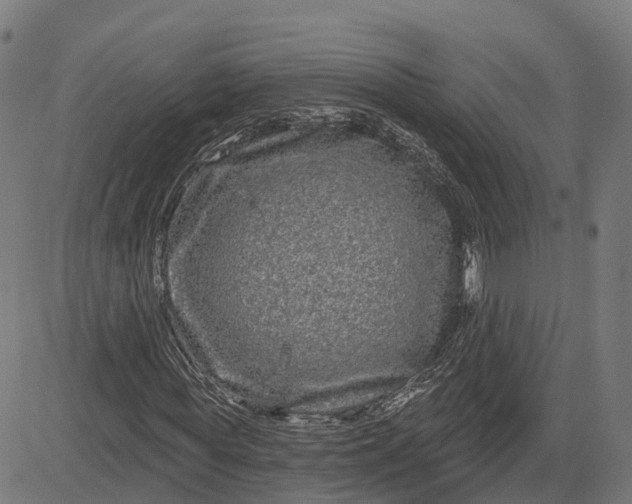 X0000082680819200702091630