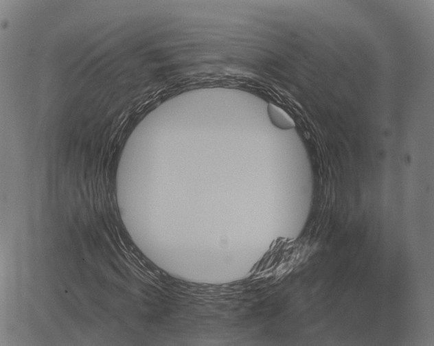 X0000082680820200702091630