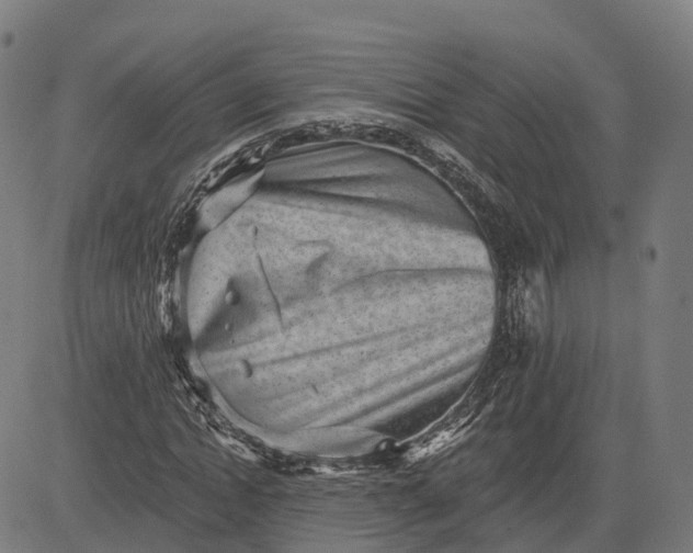 X0000082680822200702091630