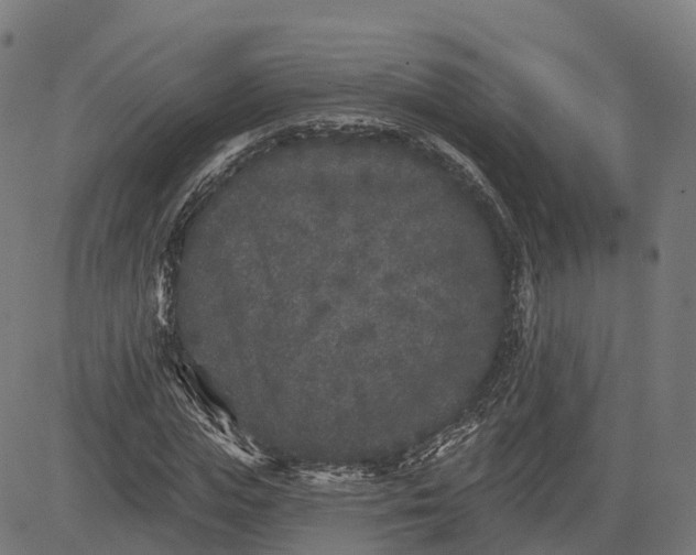 X0000082680823200702091630