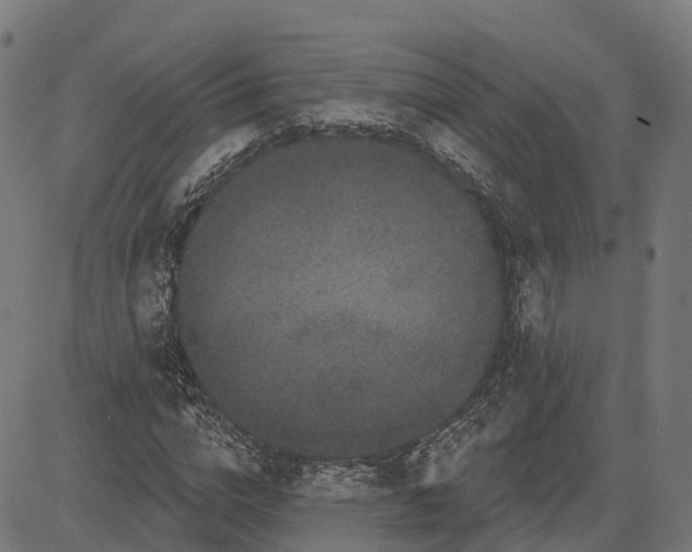 X0000082680824200702091630