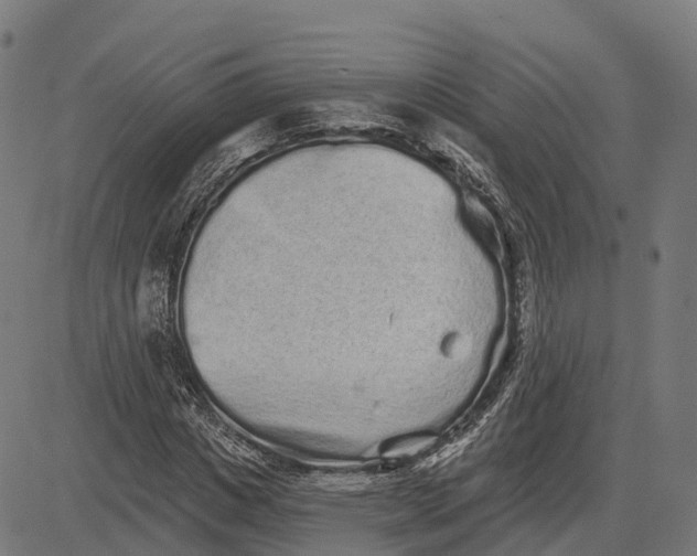 X0000082680825200702091630