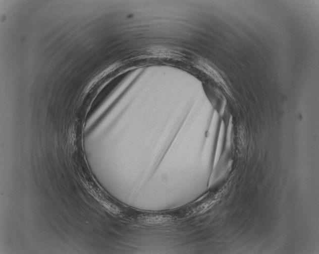 X0000082680826200702091630