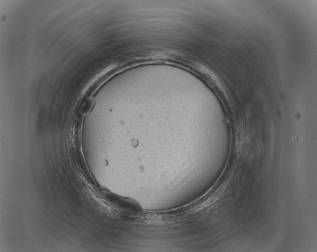 X0000082680827200702091630