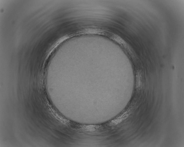 X0000082680828200702091630