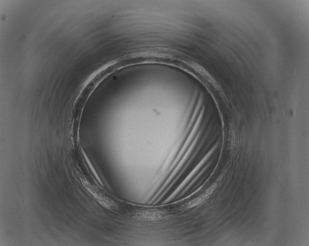 X0000082680830200702091630