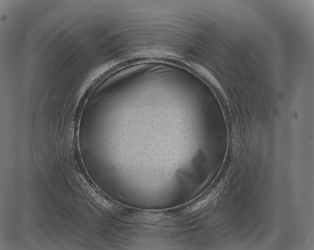 X0000082680831200702091630