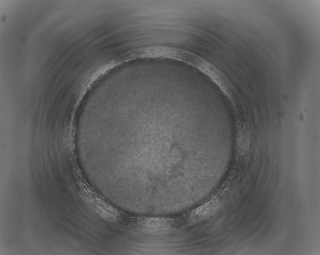 X0000082680832200702091630