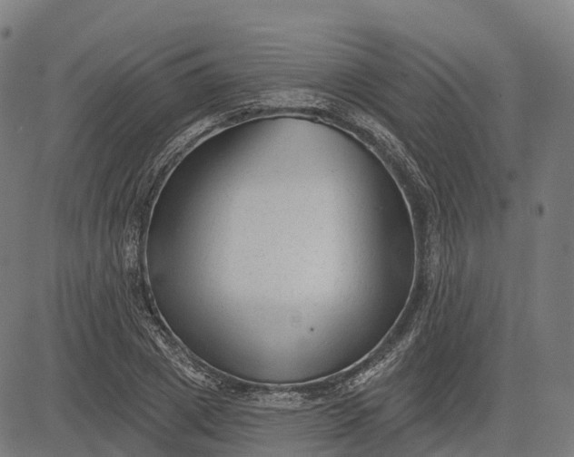 X0000082680833200702091630