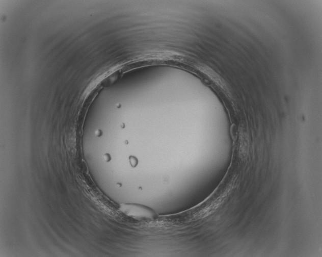 X0000082680834200702091630