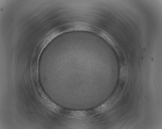 X0000082680836200702091630