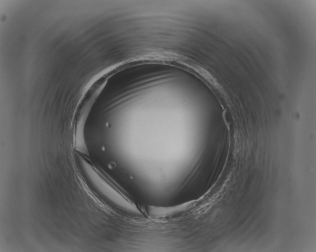 X0000082680838200702091630