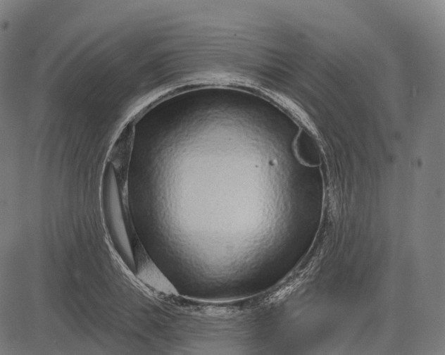 X0000082680839200702091630