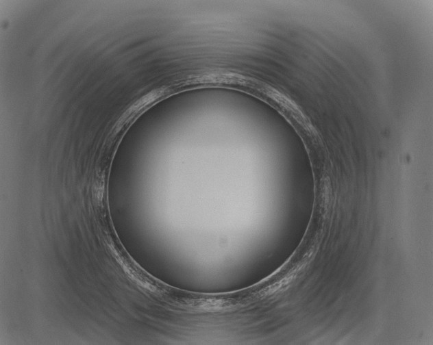 X0000082680841200702091630