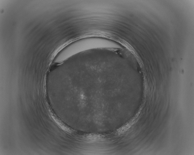 X0000082680842200702091630