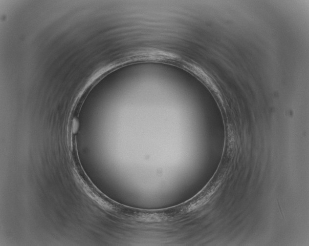 X0000082680843200702091630