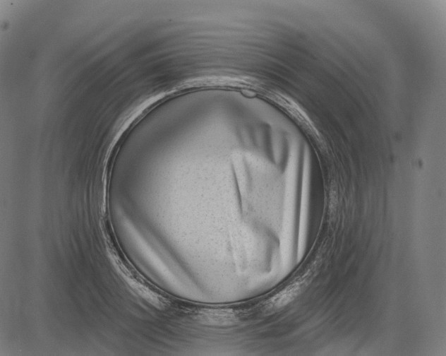 X0000082680844200702091630