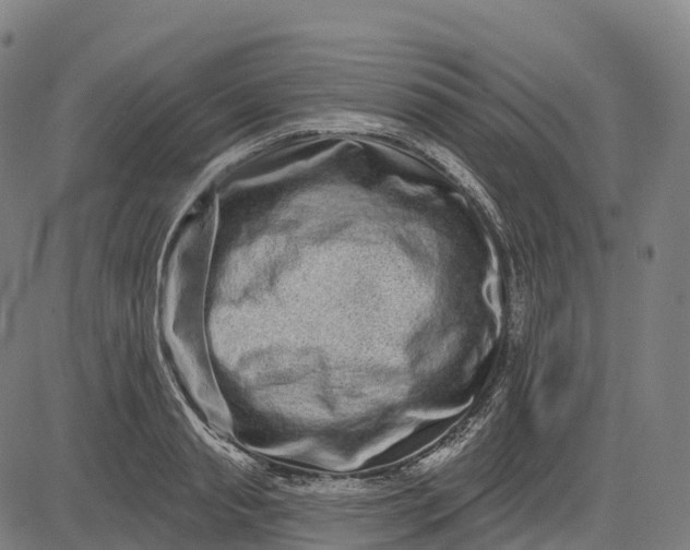 X0000082680845200702091630