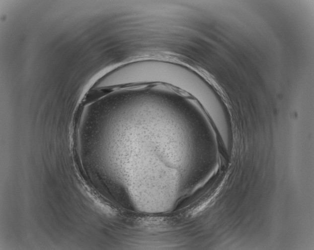 X0000082680846200702091630