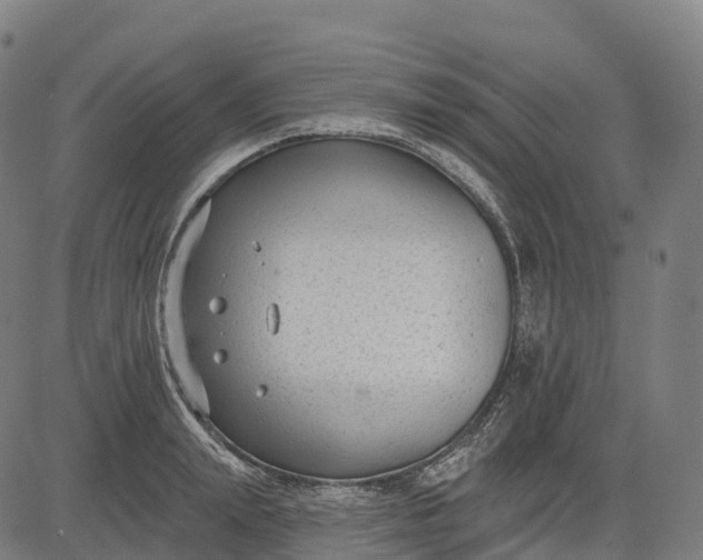 X0000082680847200702091630