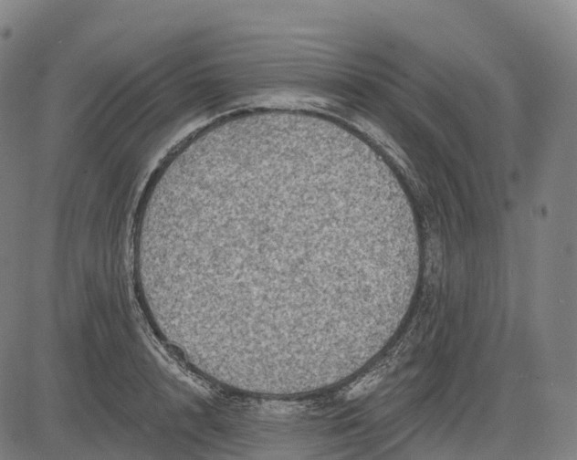 X0000082680848200702091630